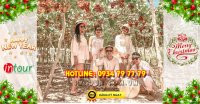 Tour Du Lịch Ninh Chữ Vĩnh Hy 2 Ngày 2 Đêm Tết Dương Lịch 2023